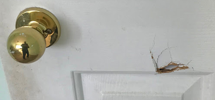 interior door hole repair Coconut Creek