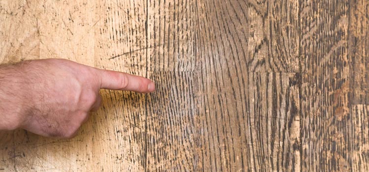 Wood Door Scratch Repair in Coconut Creek